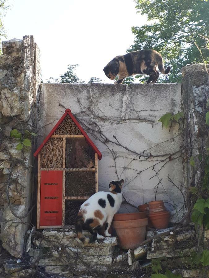 Au Chat Perche Mareil-sur-Mauldre 외부 사진